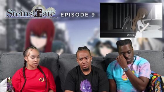 Videos - 6134152f40e8194c8152e8551a9ca11f