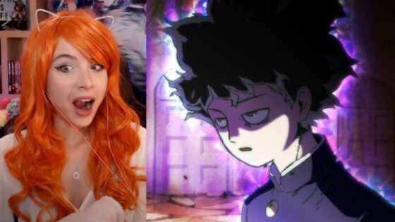 Videos - 528cfcf5df8b04b01d086ddde0892cbd